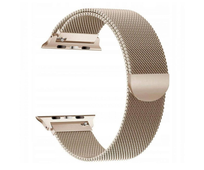 Pasek i akcesoria do zegarków TECH-PROTECT Milaneseband do Apple Watch 40/41/42 mm gold